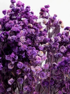 Yenga|Kibek Clearance