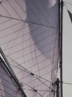 Zweimaster|Kibek Outlet