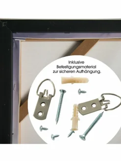 Zweimaster|Kibek Outlet